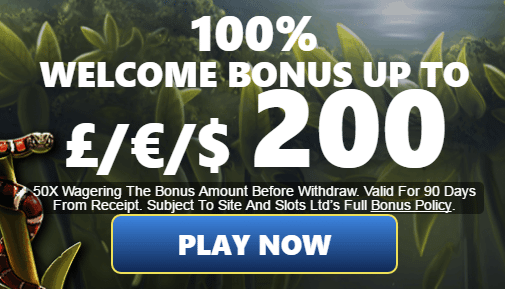 mega free spins bonus